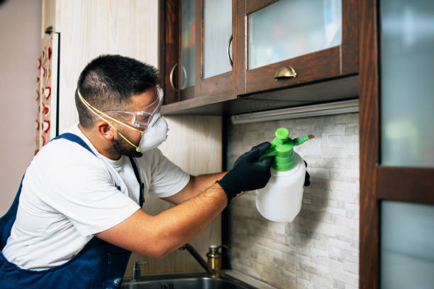 Best Affordable Pest Control Services  in Ogden Dunes, IN