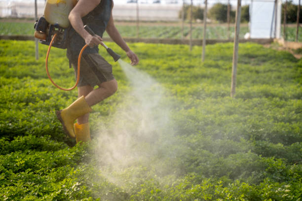 Best Pest Inspection Near Me  in Ogden Dunes, IN