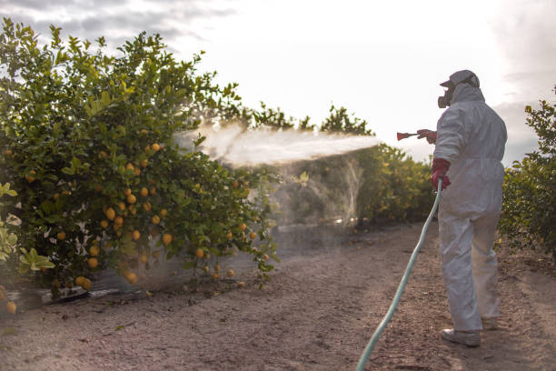 Best Insect Control  in Ogden Dunes, IN