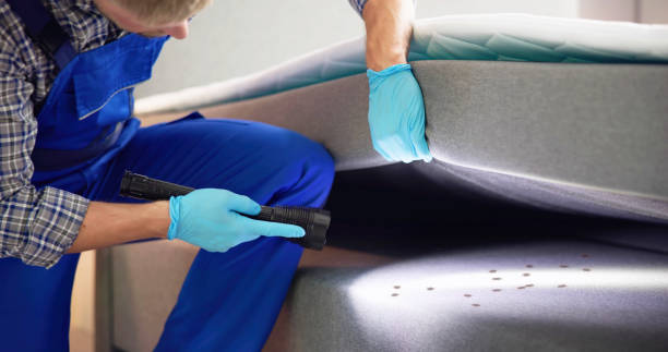 Best Flea Control Services  in Ogden Dunes, IN