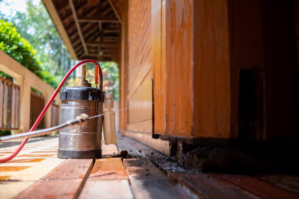Best Pest Removal Services  in Ogden Dunes, IN