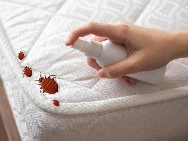 Best Best Pest Control Companies  in Ogden Dunes, IN