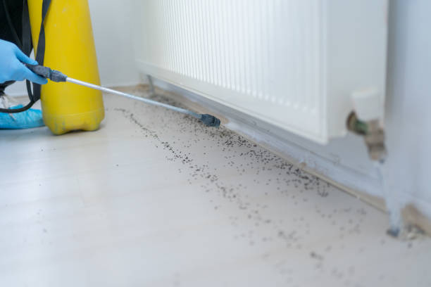 Reliable Ogden Dunes, IN Pest Control Solutions