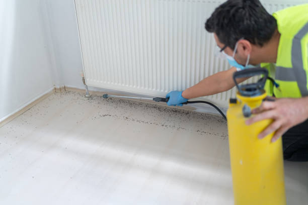 Best Pest Removal Services  in Ogden Dunes, IN