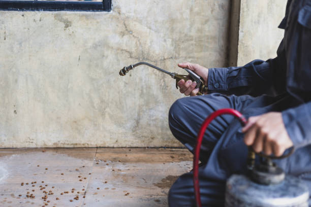 Best Pest Prevention Services  in Ogden Dunes, IN